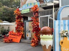 -苏小糖(鼓浪屿三丘田花园店)