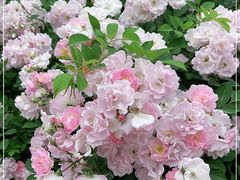 -UNIUNI(凯瑟琳广场店)