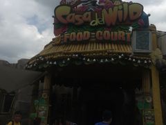 -太空堡垒 双轨过山车