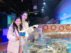-海合安武汉极地海洋公园
