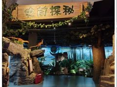 -陕西自然博物馆