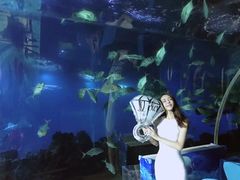 -海棠湾洲际-涛·海底餐厅·龙虾·牛排·美人鱼