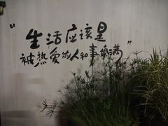 -福合埕牛口福·牛肉火锅·牛肉丸