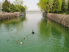 -颐和园