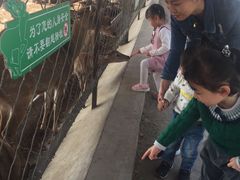 -北京鹿世界主题园