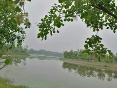 -东郊湿地公园