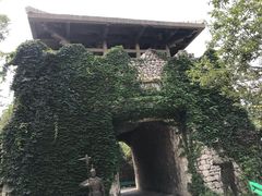 -原山国家森林公园