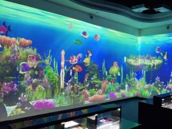 -酷嗒动物文化乐园(cutezoo西溪乐天城店)