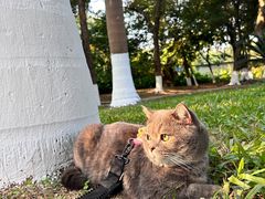 -立德动物医院·24小时中心(番禺区院区)