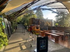 -怀托摩萤火虫洞