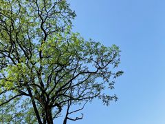 -铜锣山矿山公园