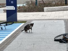 -上海第二工业大学(金海路校区)