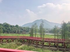 -东部华侨城