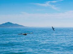 -海驴岛(荣成市)