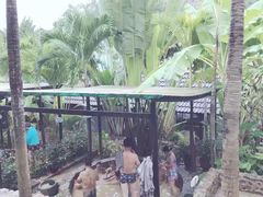 -100蛋泥浆浴