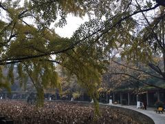 -四川大学(华西校区)