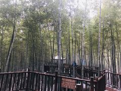 -陶祖圣境风景区