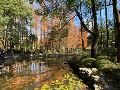 -人民公园-相亲角