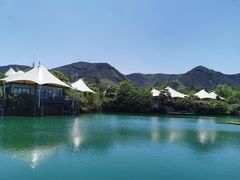 -帐篷客·溪龙茶谷度假酒店