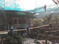 -九龙公园