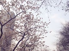 -人民公园-相亲角