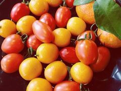 -无饿不坐海鲜自助烤肉火锅餐厅(塘下镇亿嘉国际广场店)