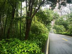 -南京东郊国宾馆