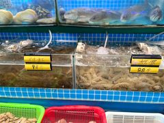 -望海潮海鲜店 特色家常菜(在海一方店)