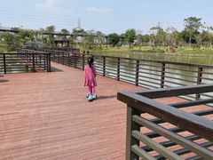 -王借岗森林公园