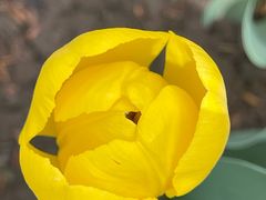 -西宁市人民公园(城西区)