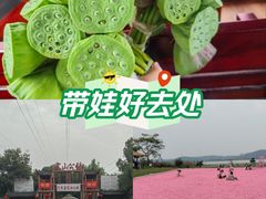 -张公山寨景区