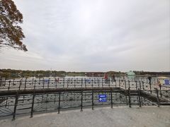 -上海都市菜园