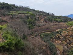 -许家山