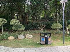 -五缘湾湿地公园