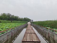 -苏州东太湖生态园