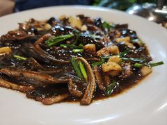 -丁老爷子苏香圆