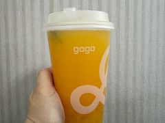 -gaga(深圳福田星河COCO Park店)
