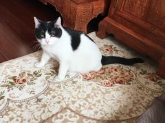 -水晶之星洗浴温泉汗蒸