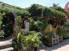 -Jungle Kitchen