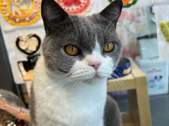 -萌兽医馆·眼科·异宠专科(三里屯店)