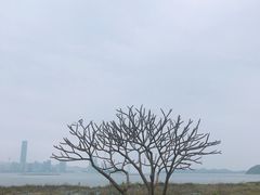 -海沧湾公园
