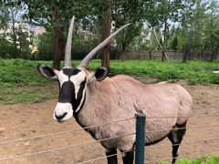 -大连森林动物园