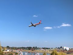 -空港花田景区
