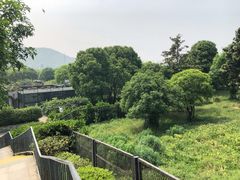 -无锡动物园·太湖欢乐园