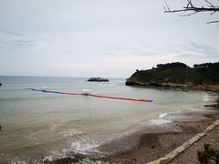 -仙人岛