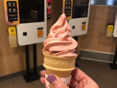 -麦当劳(王顶堤店)