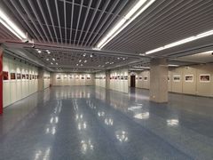 -金陵图书馆