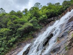 -广州白江湖森林公园