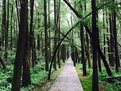 同里国家湿地公园-同里国家湿地公园
