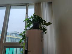 -梅花香里大酒店(郁金香路店)